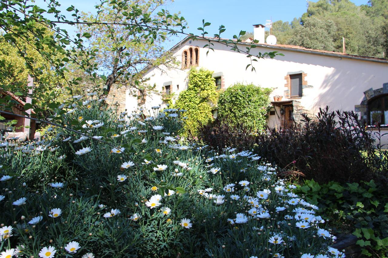 Can Barrina Montseny Exterior foto